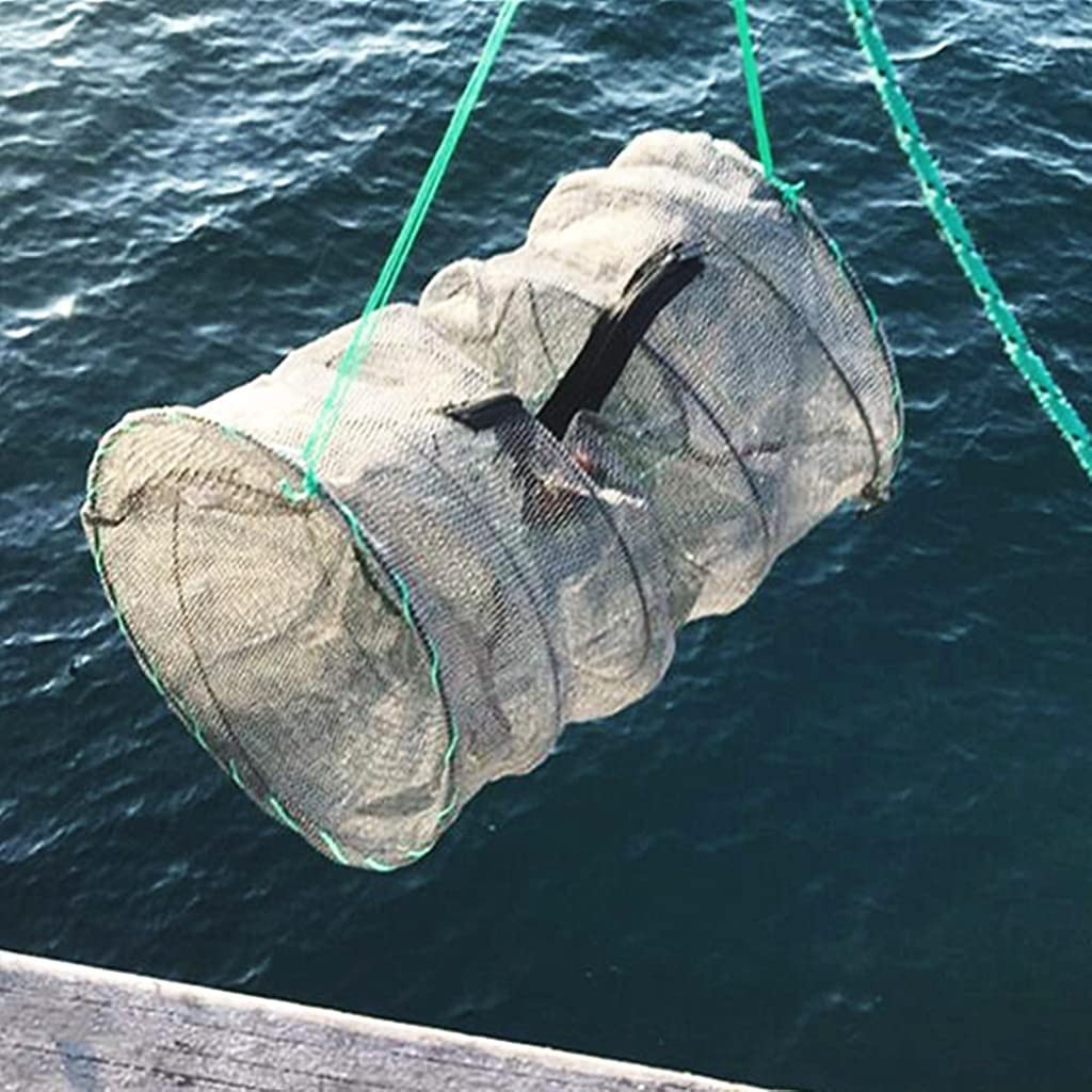 Proberos Fishing Net Lobster Crab Trap Fish Basket Collapsible Portable Crab Trap Cage Fishing Keep Net Fish Net for Crayfish, Crab, 12.6X20.1inches Proberos Fishing Net Lobster Crab Trap Fish Basket Collapsible Portable Crab Trap Cage Fishing Keep Net Fish Net for Crayfish, Crab, 12.6X20.1inches